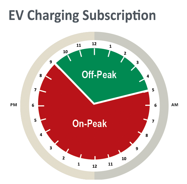 EV Subscription